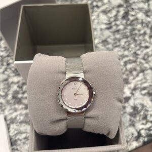 Brand New Skagen Watch